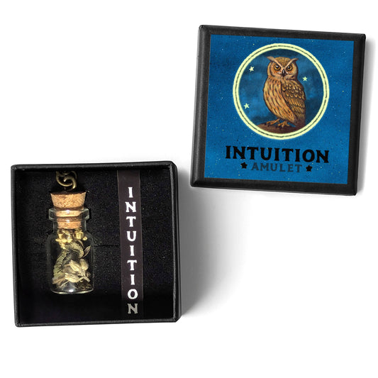 Intuition Amulet - Insight & Clarity Talisman Necklace with Owl