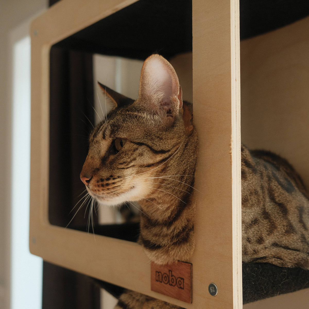 The Tower Wall-Mounted Cat Tree | The Mural Collection