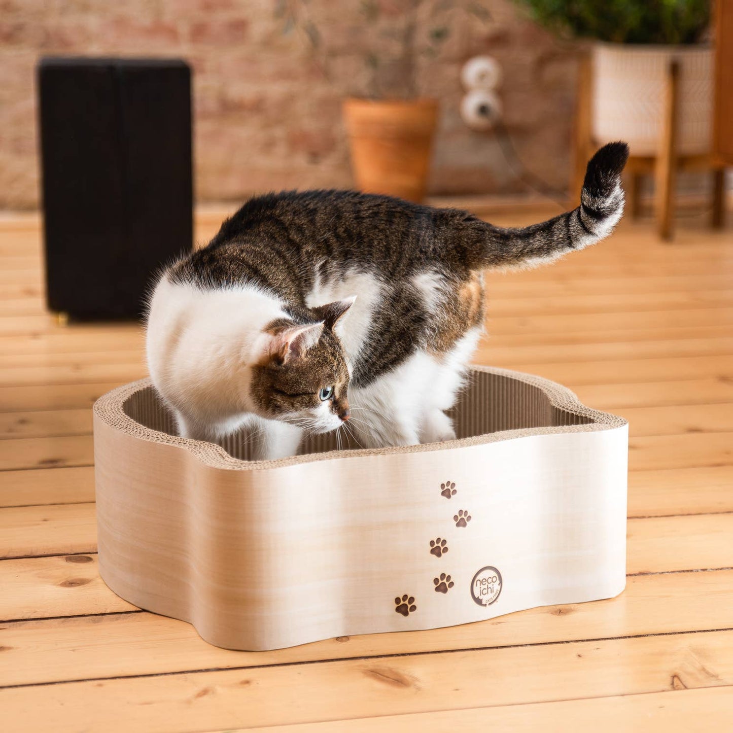Cat-Headed Scratcher Bed (Birch)