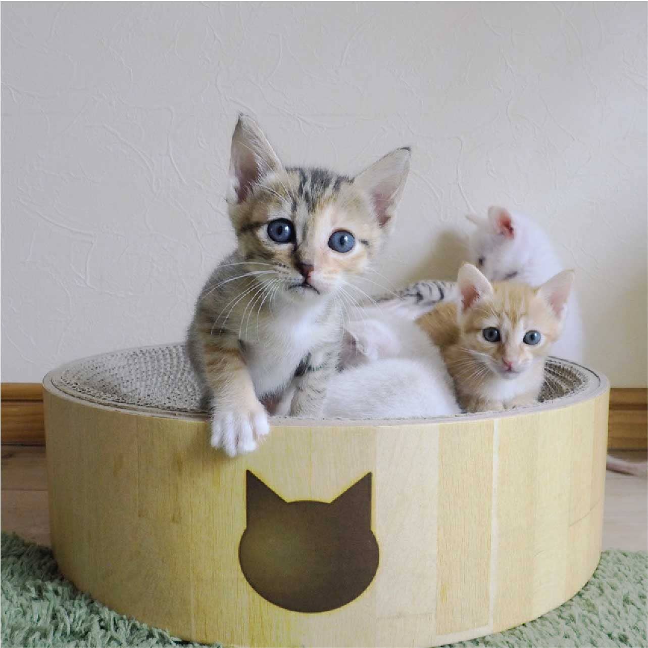 Cozy Cat Scratcher Bowl