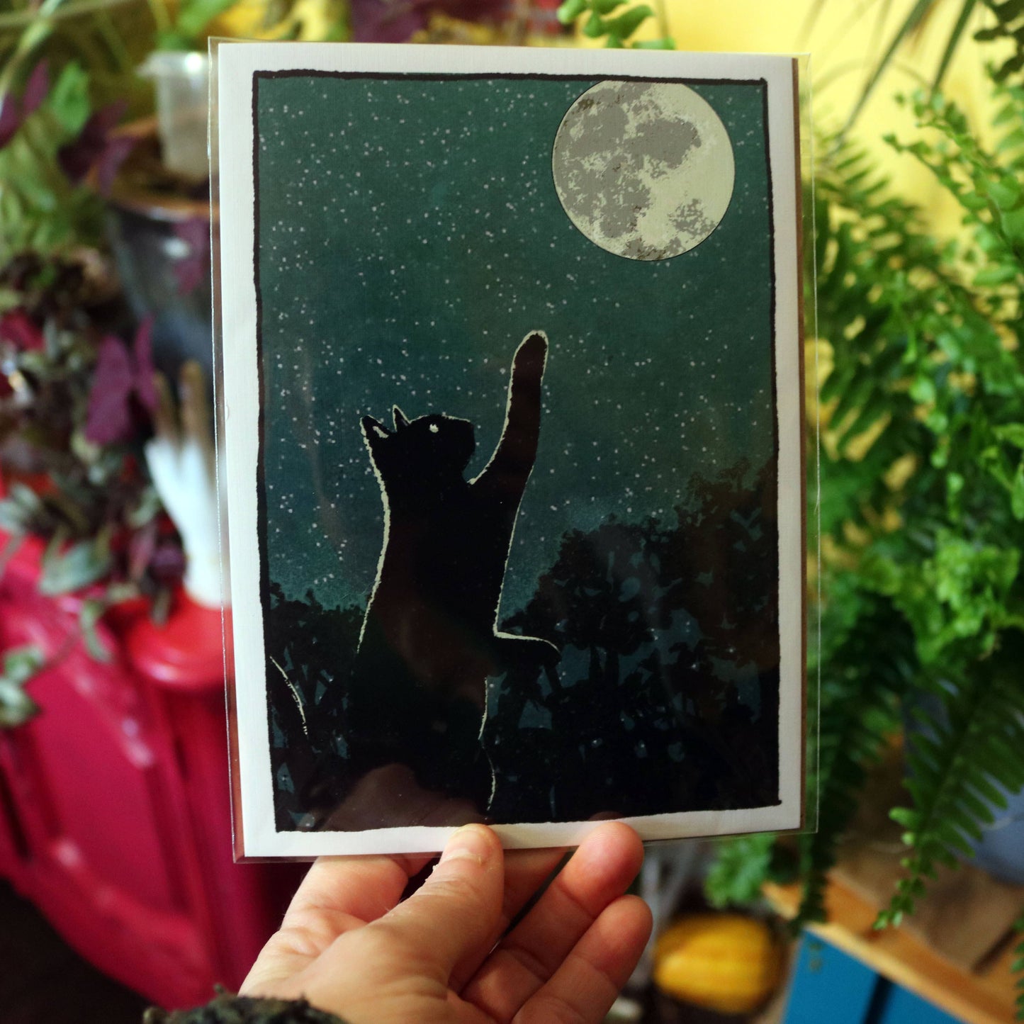 Moonwatchers — Black Cat Print Set of 4 | 5x7 Fine Art Print