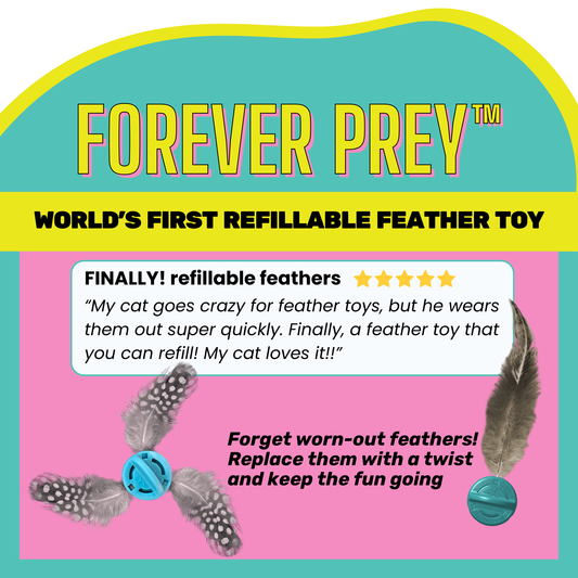 Forever Prey™ Refillable Feather Cat Lure