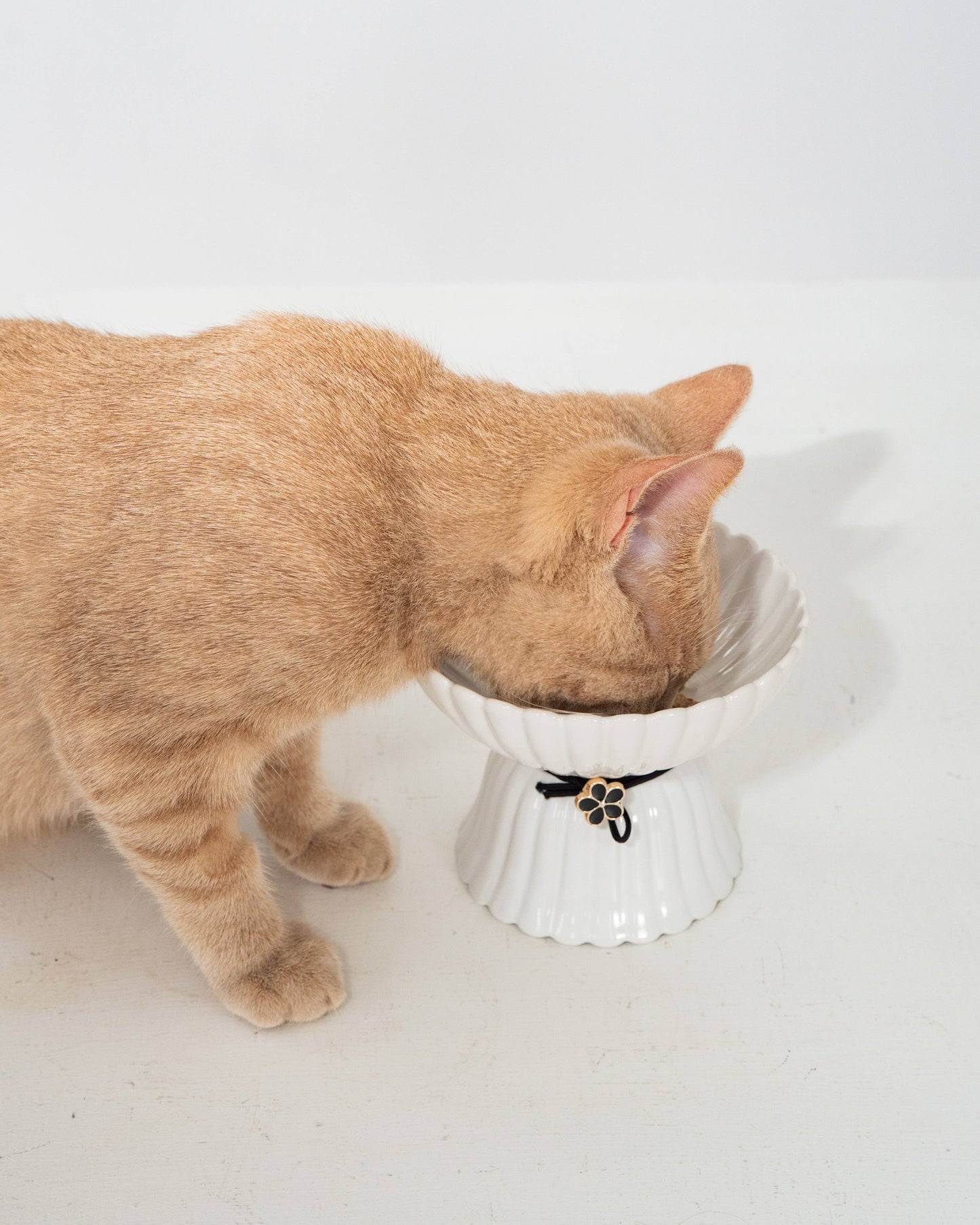 Cat Ceramic Bowl - White & Black Flower