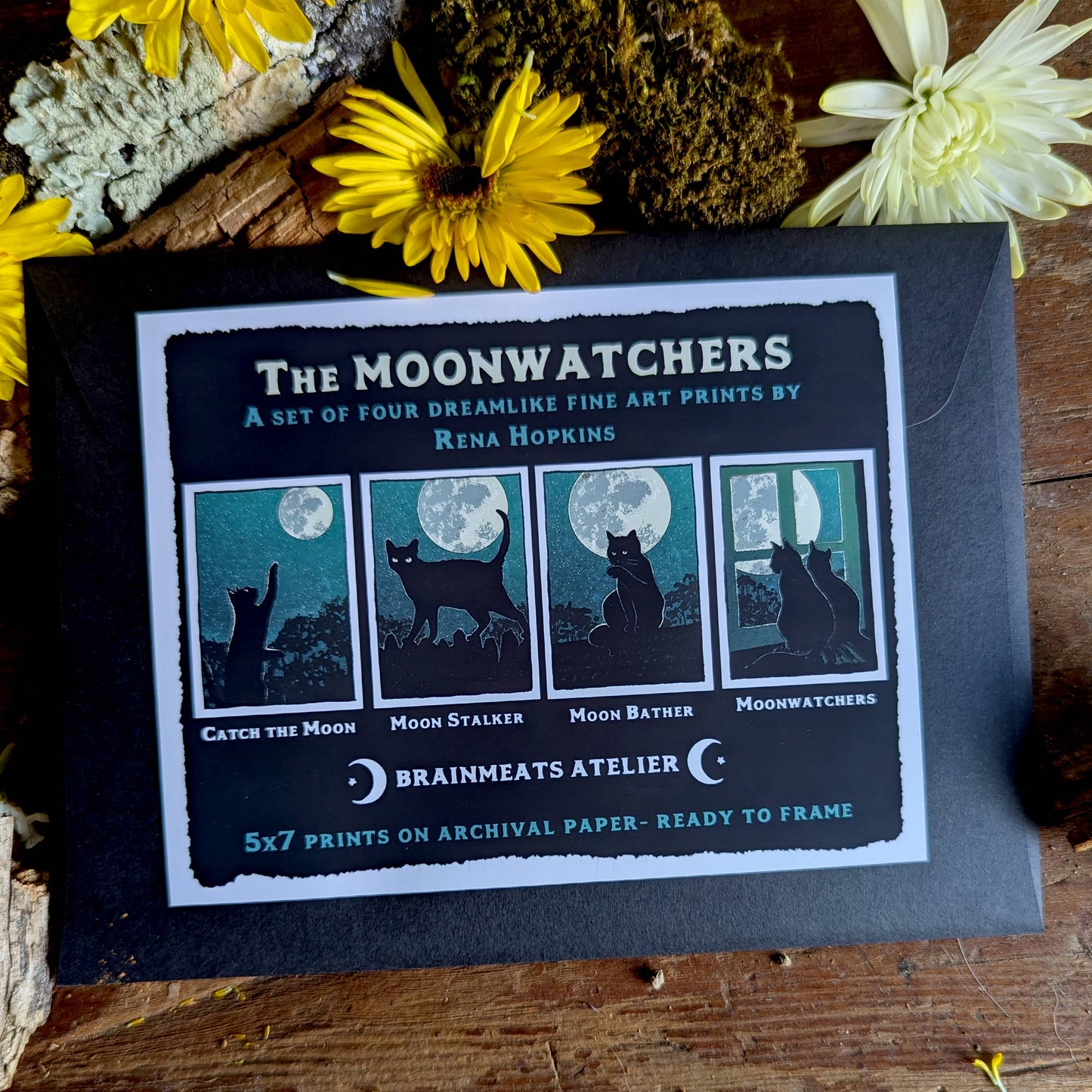 Moonwatchers — Black Cat Print Set of 4 | 5x7 Fine Art Print