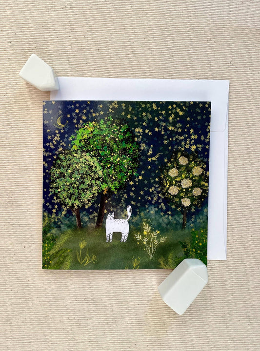 Starry Night Whiskers — Dariia Dziuba