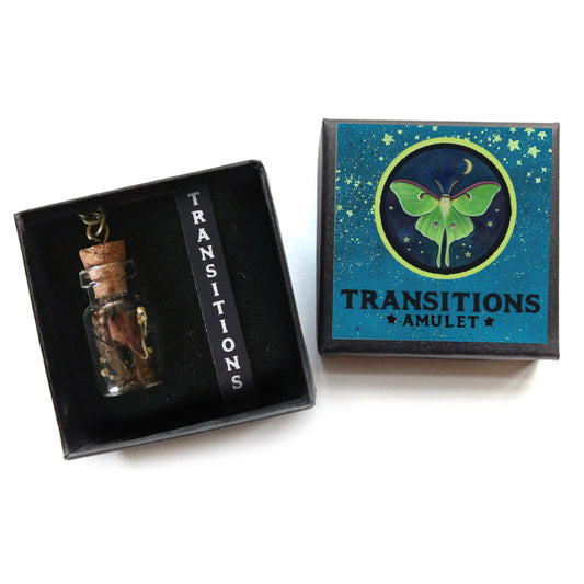 Transitions Amulet - Change and Renewal Talisman with Luna Moth