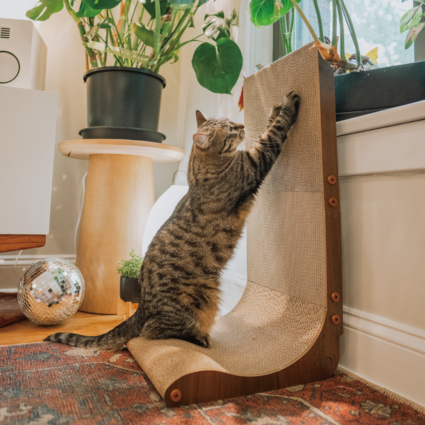 Premium Comfort Scatcher Wall
