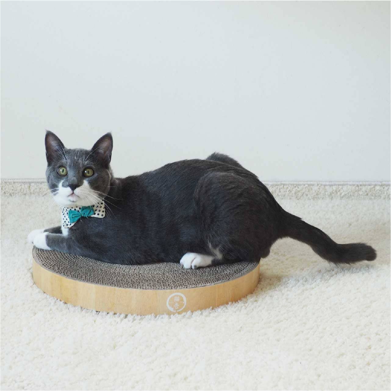 Cozy Cat Scratcher Bowl Replacement Pad (2 pack)
