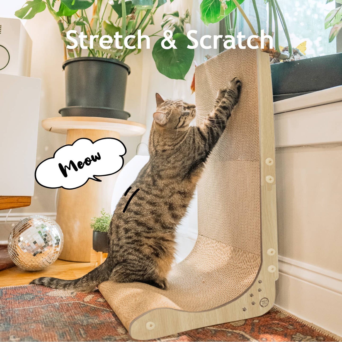 Premium Comfort Scatcher Wall