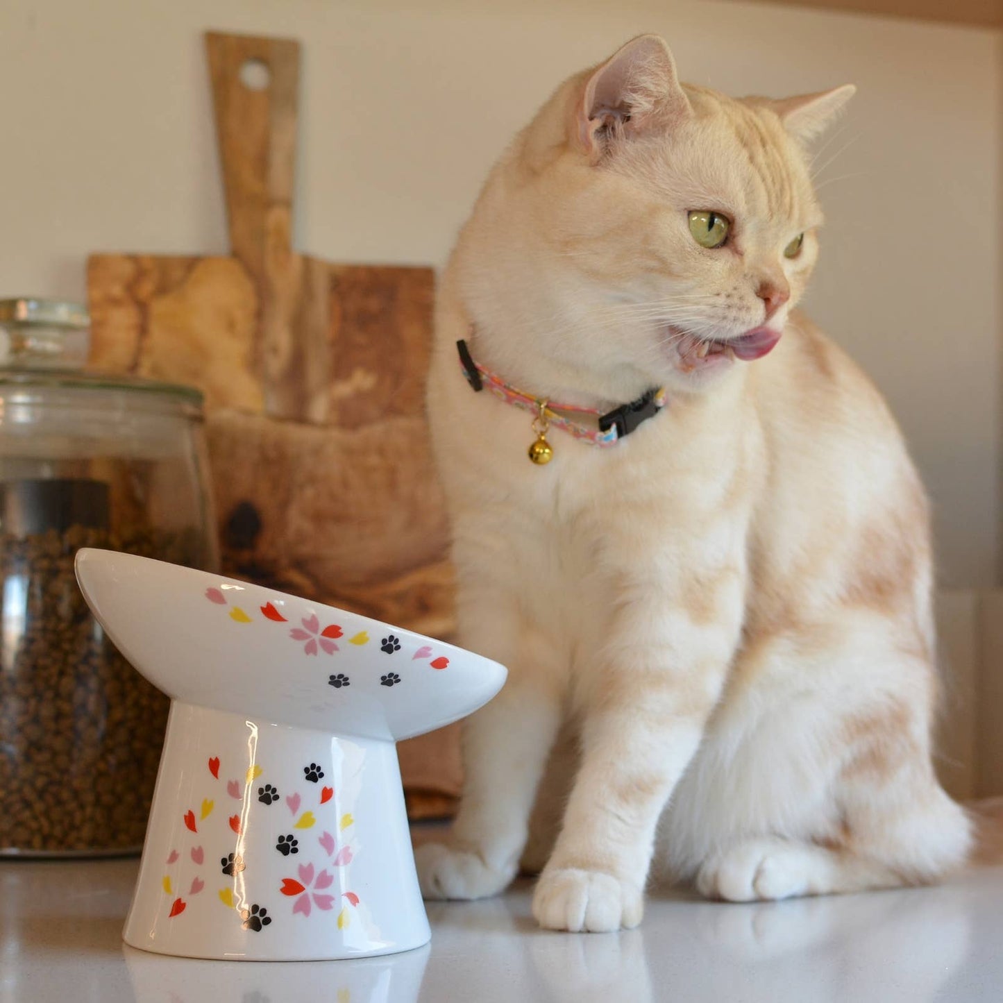 Necoichi Tilted Stress Free Raised Cat Food Bowl (Sakura Limited Edition）