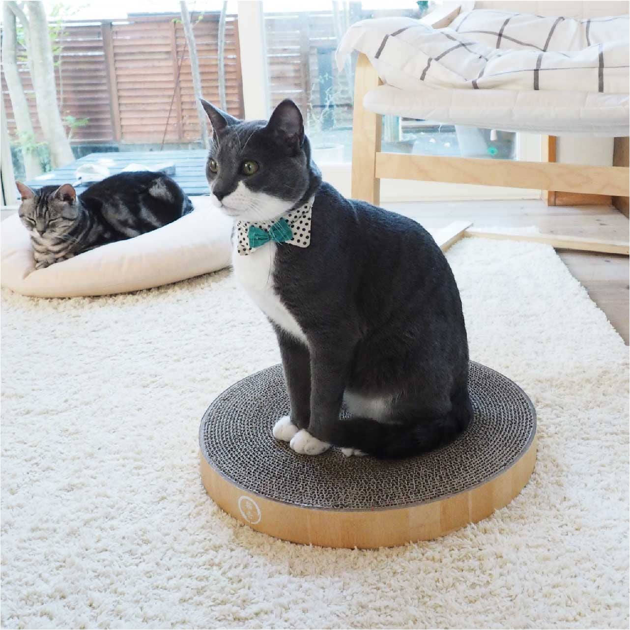 Cozy Cat Scratcher Bowl Replacement Pad (2 pack)