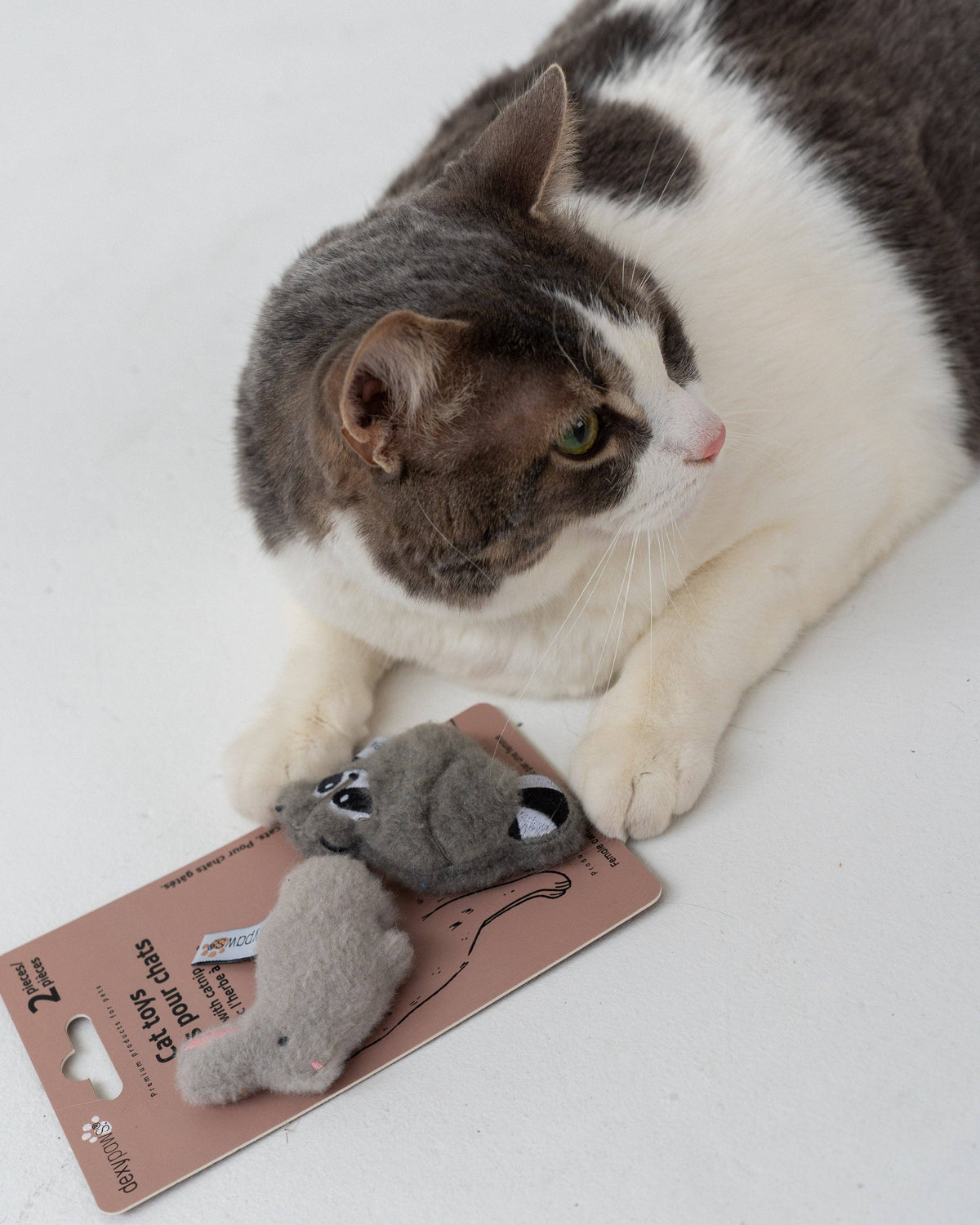 Backyard Buddies Catnip Cat Toys - 2-Pack