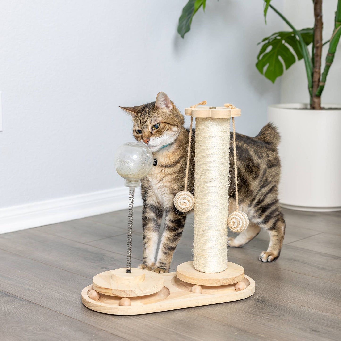 Interactive Scratch Post and Activity Center