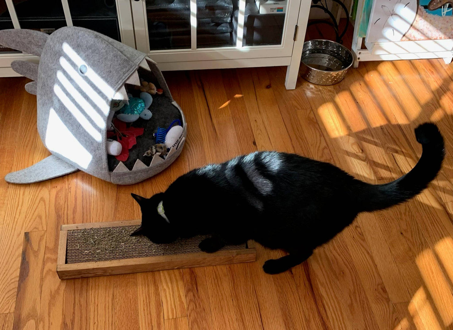 Handmade Wooden Cat Scratch Board | Cat Scratcher Guy