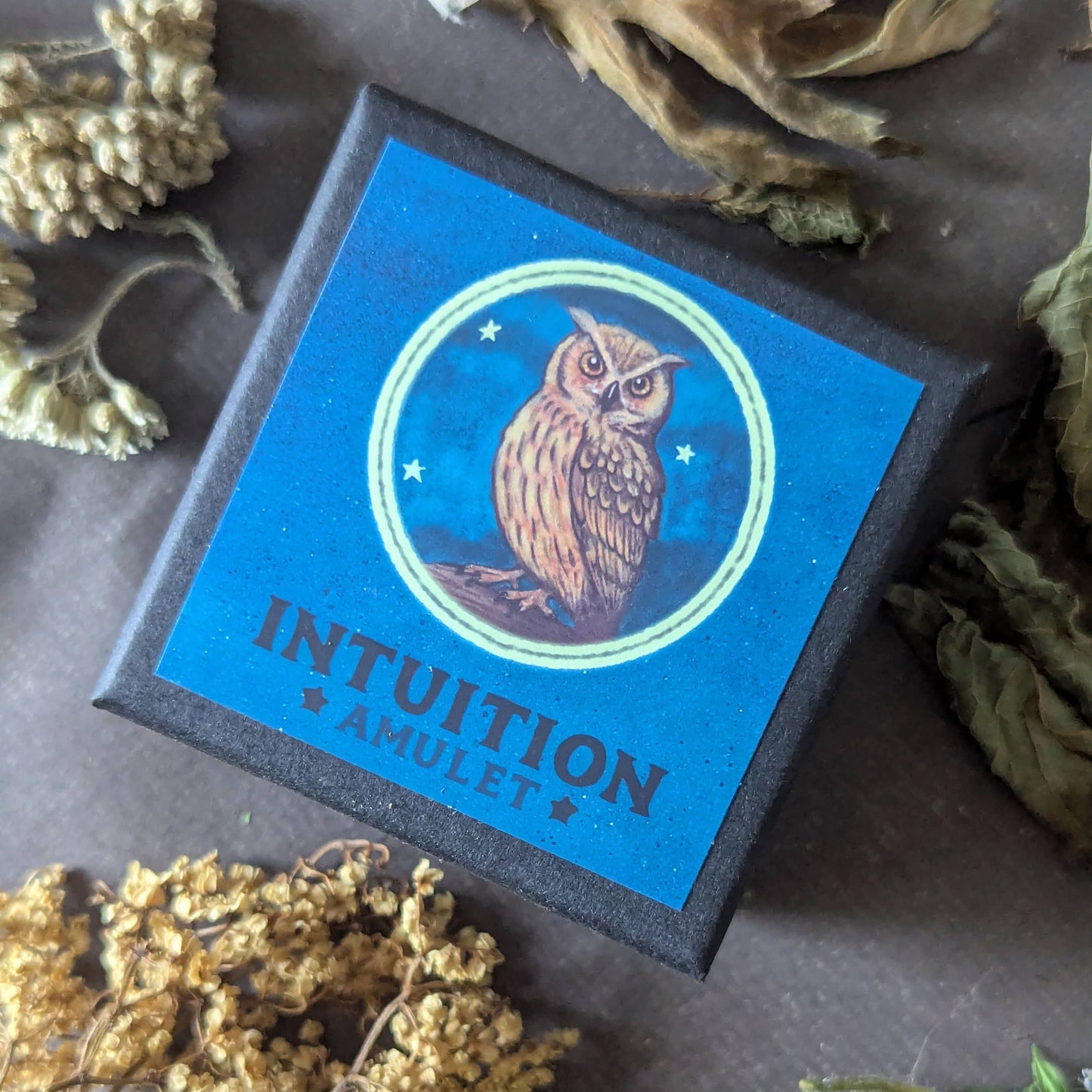 Intuition Amulet - Insight & Clarity Talisman Necklace with Owl