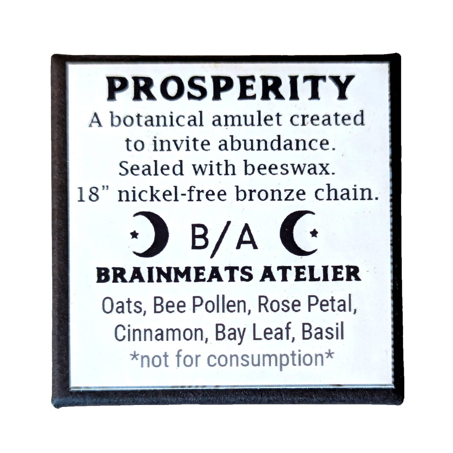 Prosperity Amulet - Abundance Talisman Necklace with Honeybee