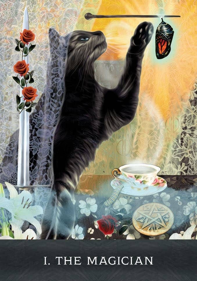Grimalkin's Curious Cats Tarot Cards