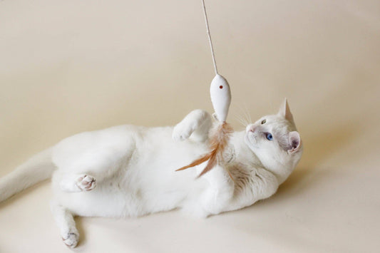 Cat Toy Golden Fish