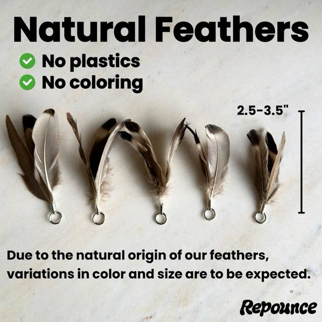Repounce Feather Toy Attachment Set (9-Piece)