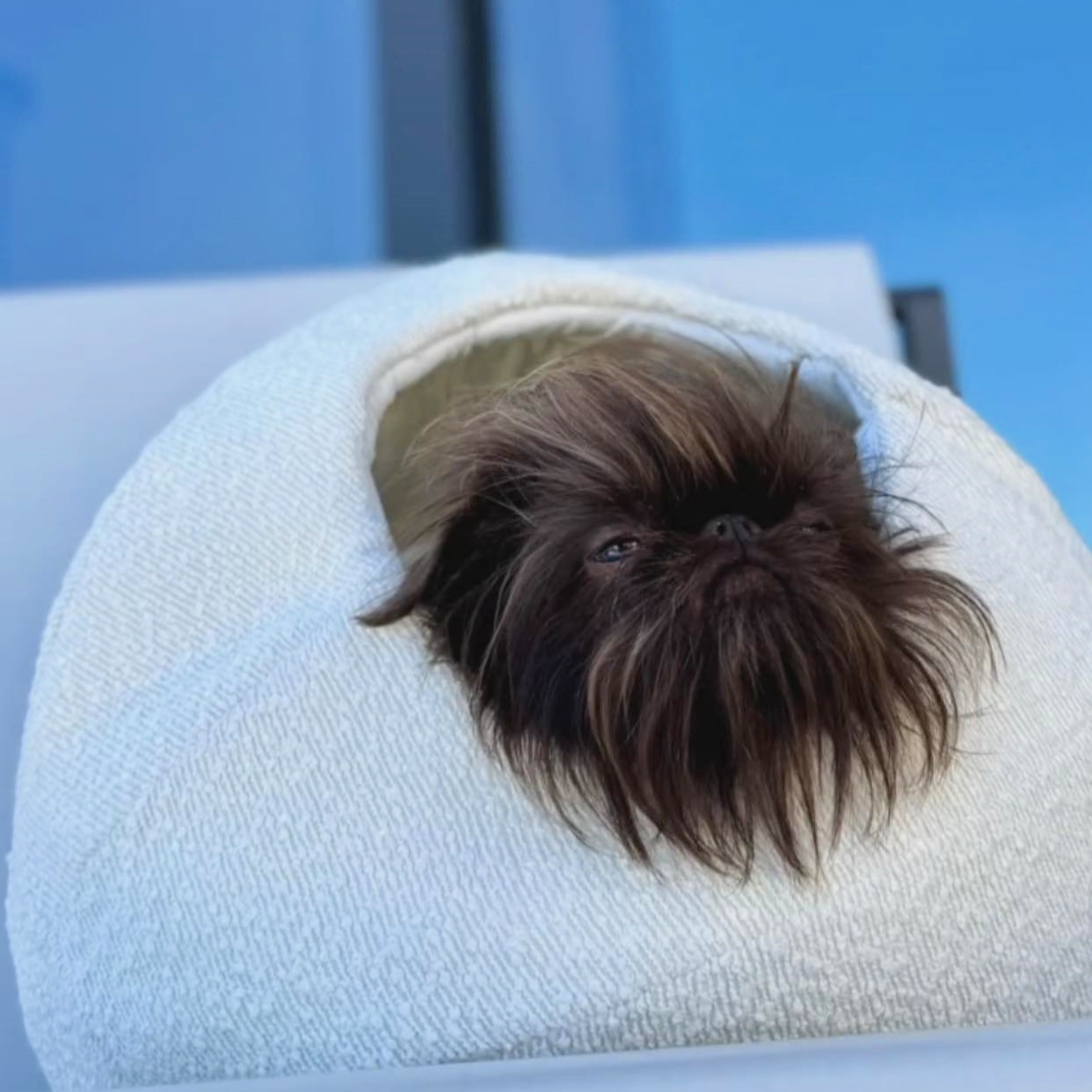 Moon Pet Cave - Boucle