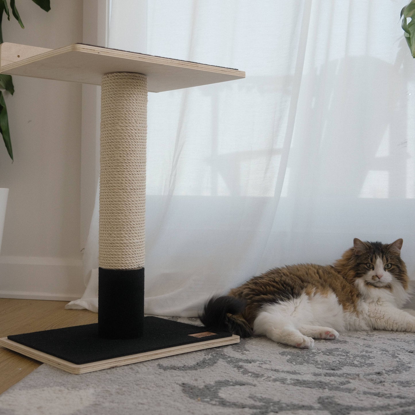 Noba Modern 1-Level Cat Tree