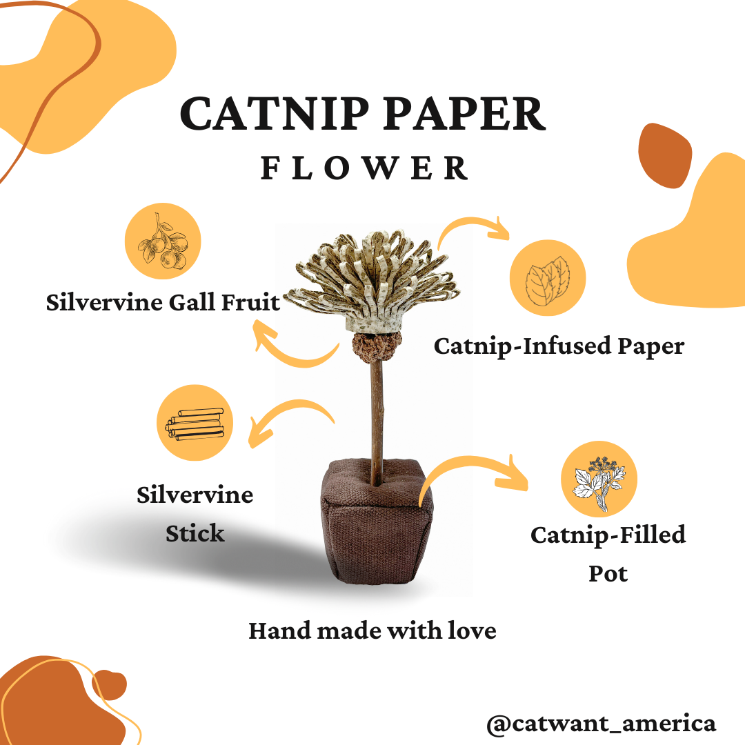 CATWANT Catnip Paper Flower Cat Toys