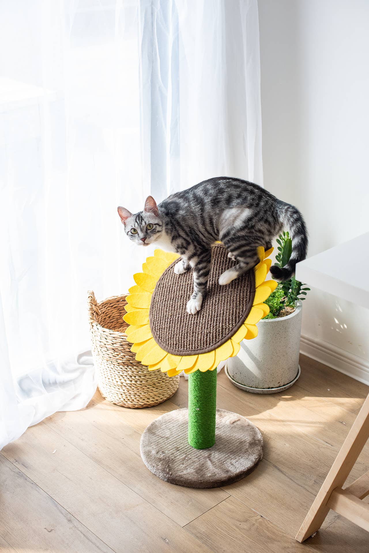 Catry Sunflower Cat Scratcher