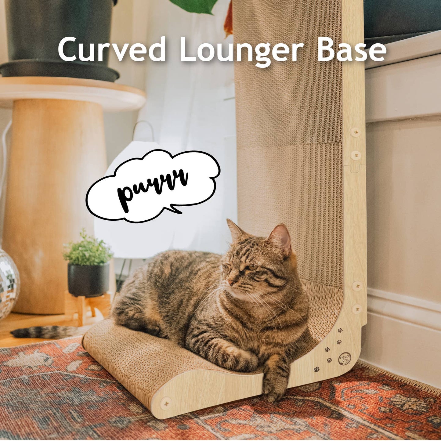 Premium Comfort Scatcher Wall