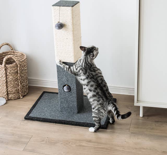 Catry Natural Minimalist Cat Scratching Post