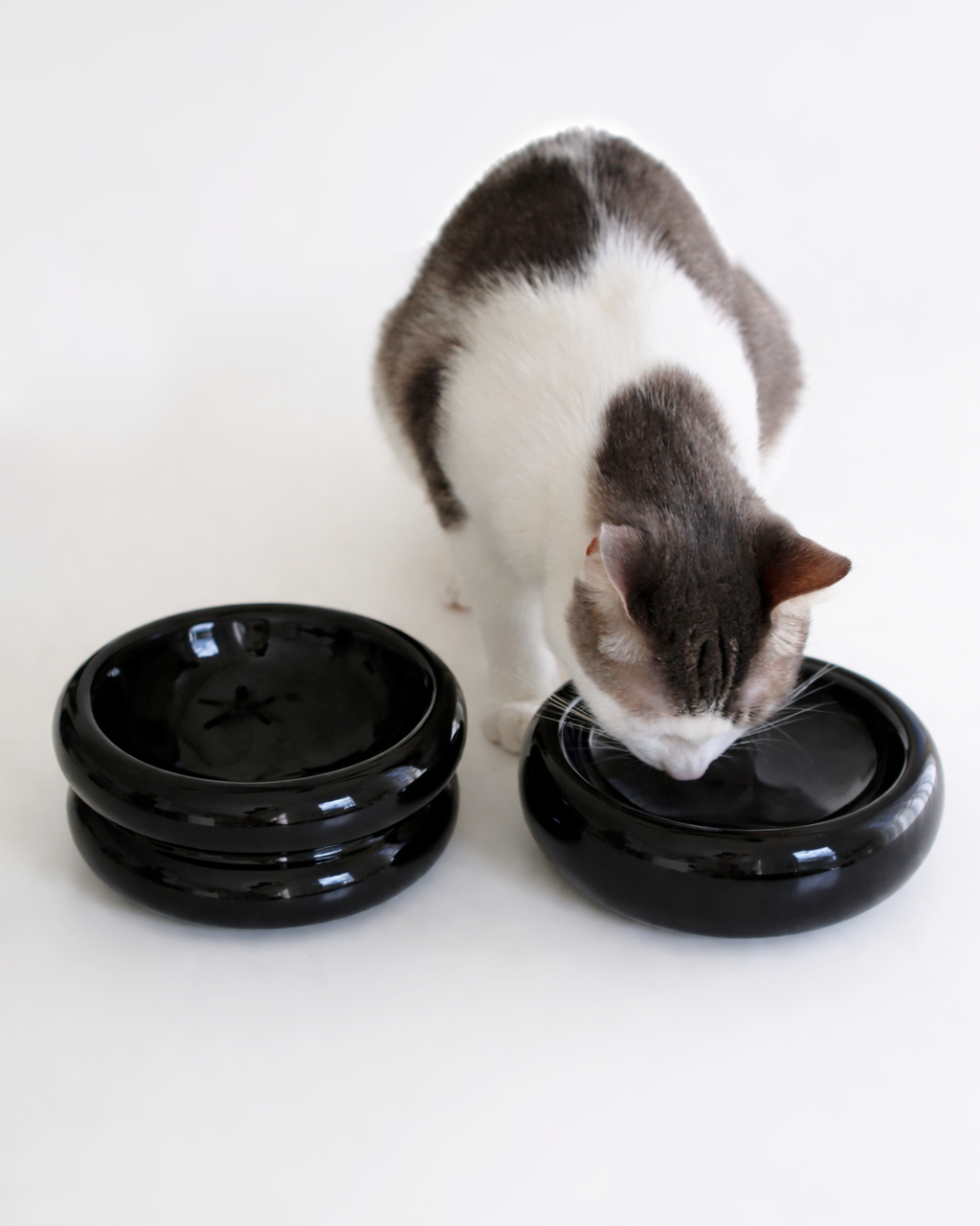 Elevated Halo Pet Bowl in Onyx