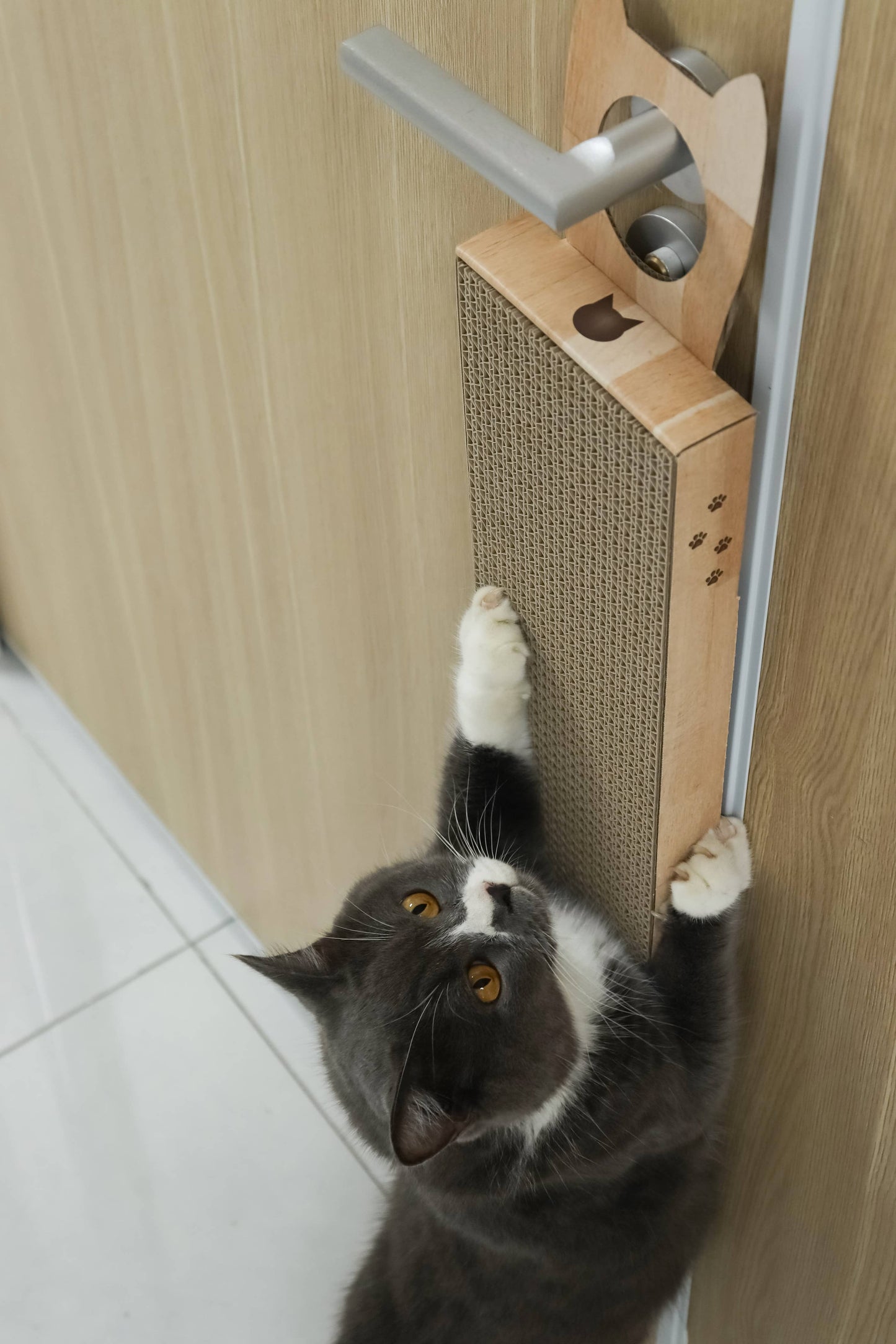 Hang & Scratch Doorknob Scratcher (Oak)