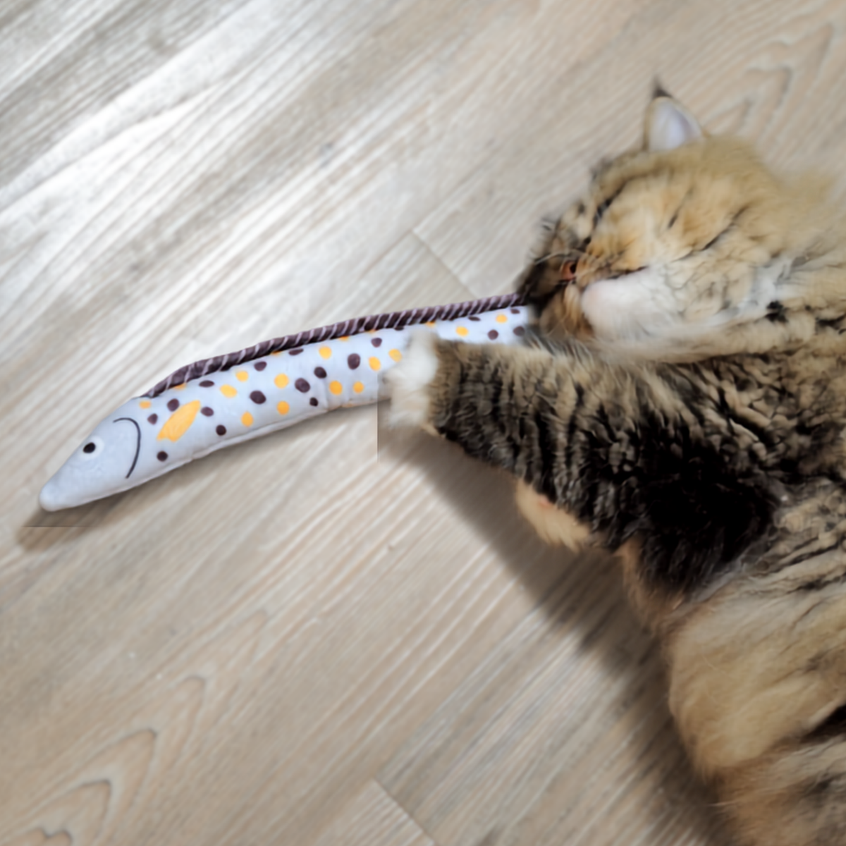 MoriCat Polka Dot Eel Silvervine Cat Toy
