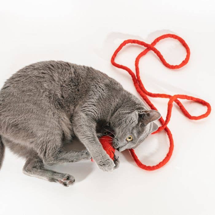 Wool Mouse Cat Toy with 6-Foot Tail