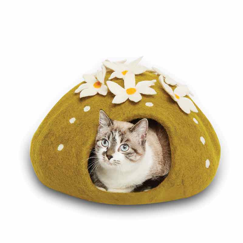 Karma Cat - Cave - Cactus