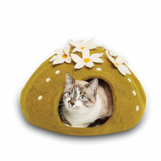 Karma Cat - Cave - Cactus