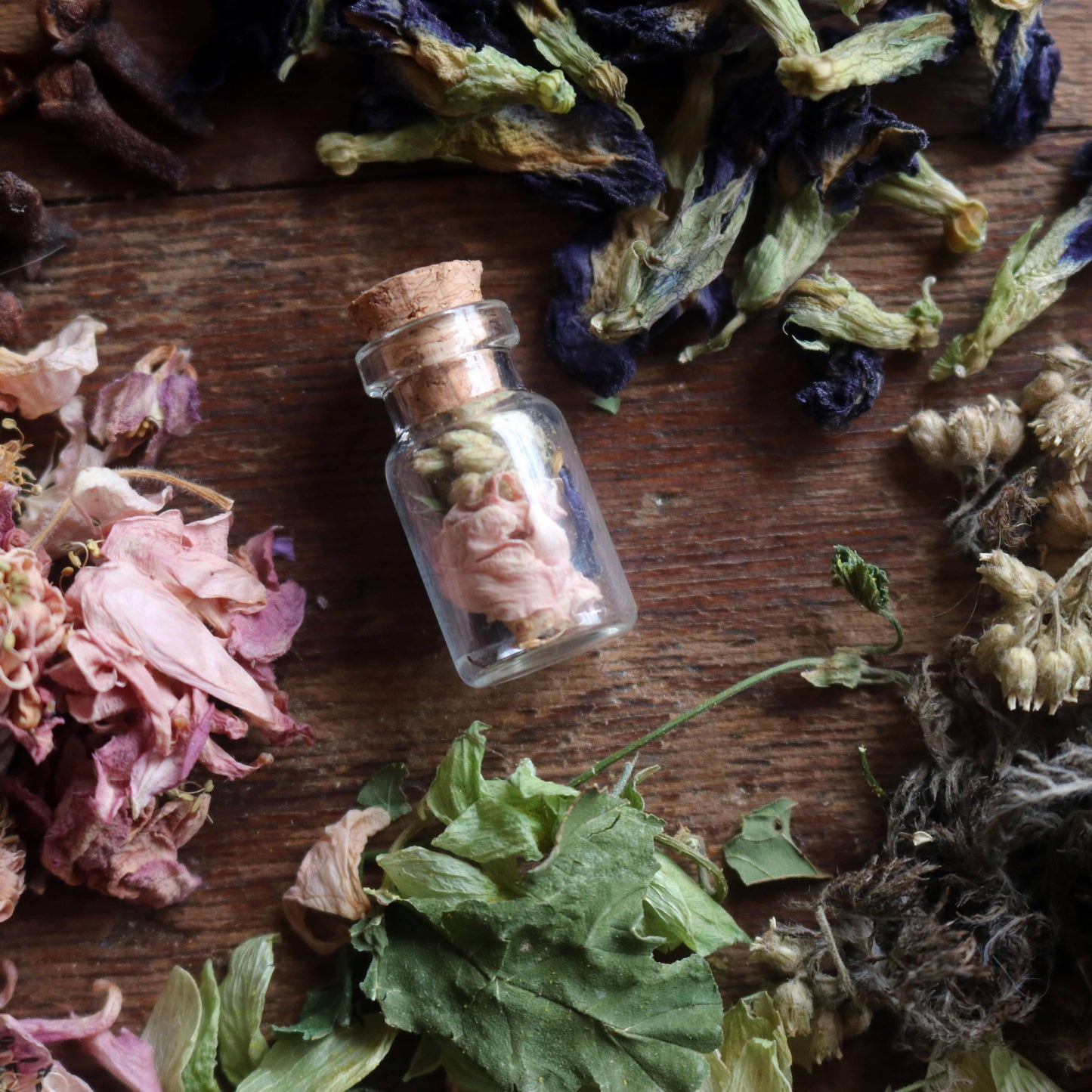 Wisdom Botanical Amulet - for Knowledge and Learning with Raven