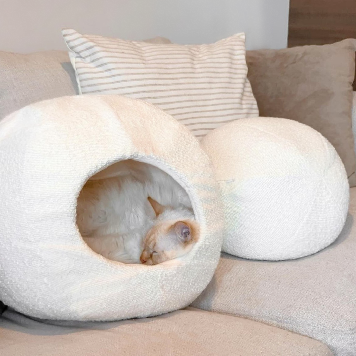 Moon Pet Cave - Boucle