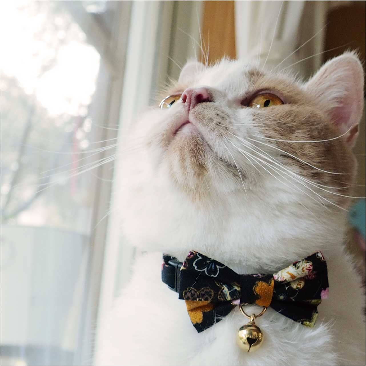 Necoichi Kimono Bow Tie Cat Collar (Black)
