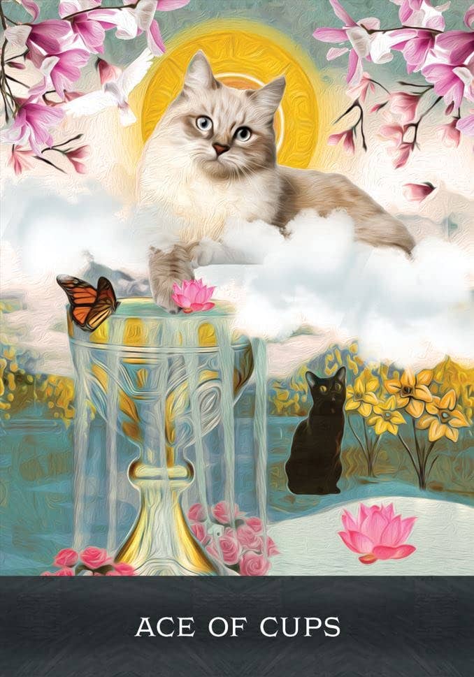 Grimalkin's Curious Cats Tarot Cards