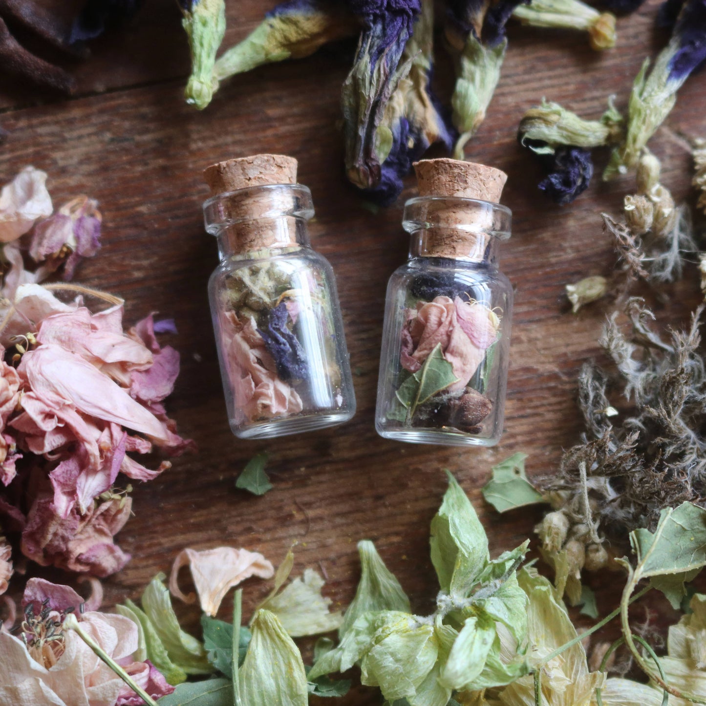 Wisdom Botanical Amulet - for Knowledge and Learning with Raven