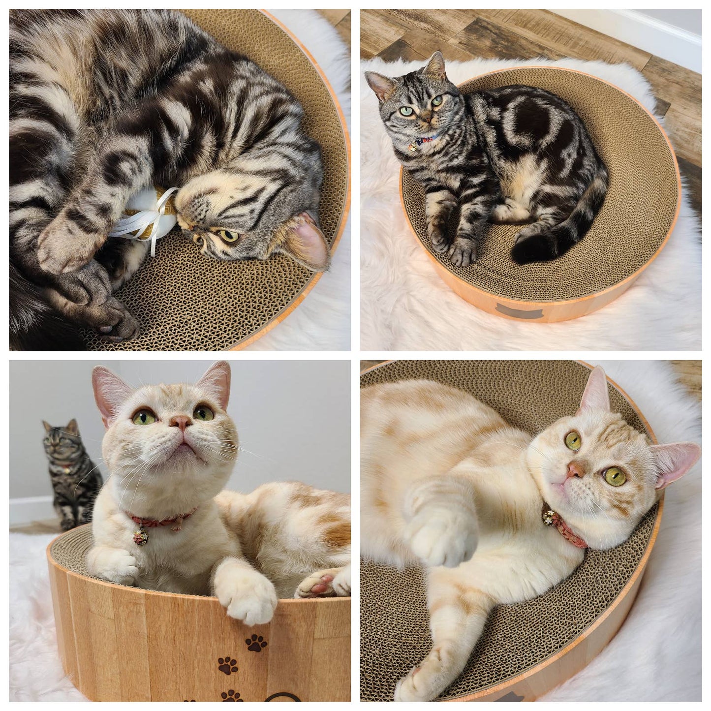 Cozy Cat Scratcher Bowl XL (Oak)