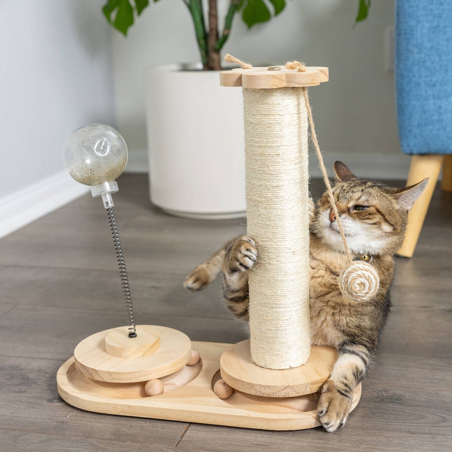 Interactive Scratch Post and Activity Center