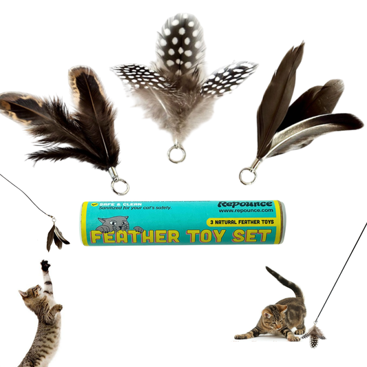 Repounce Feather Toy Attachment Set (3-Piece)