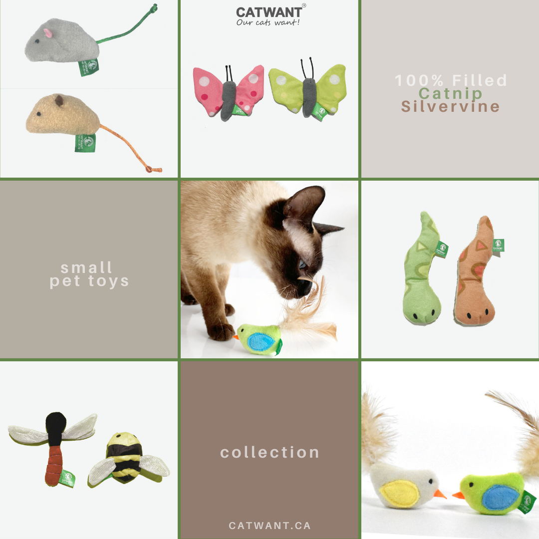Catnip/Silvervine Small Pet Toys, 2-Pack