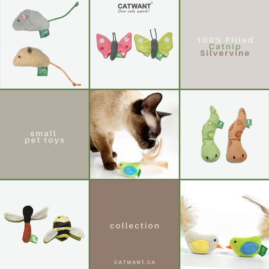 Catnip/Silvervine Small Pet Toys, 2-Pack