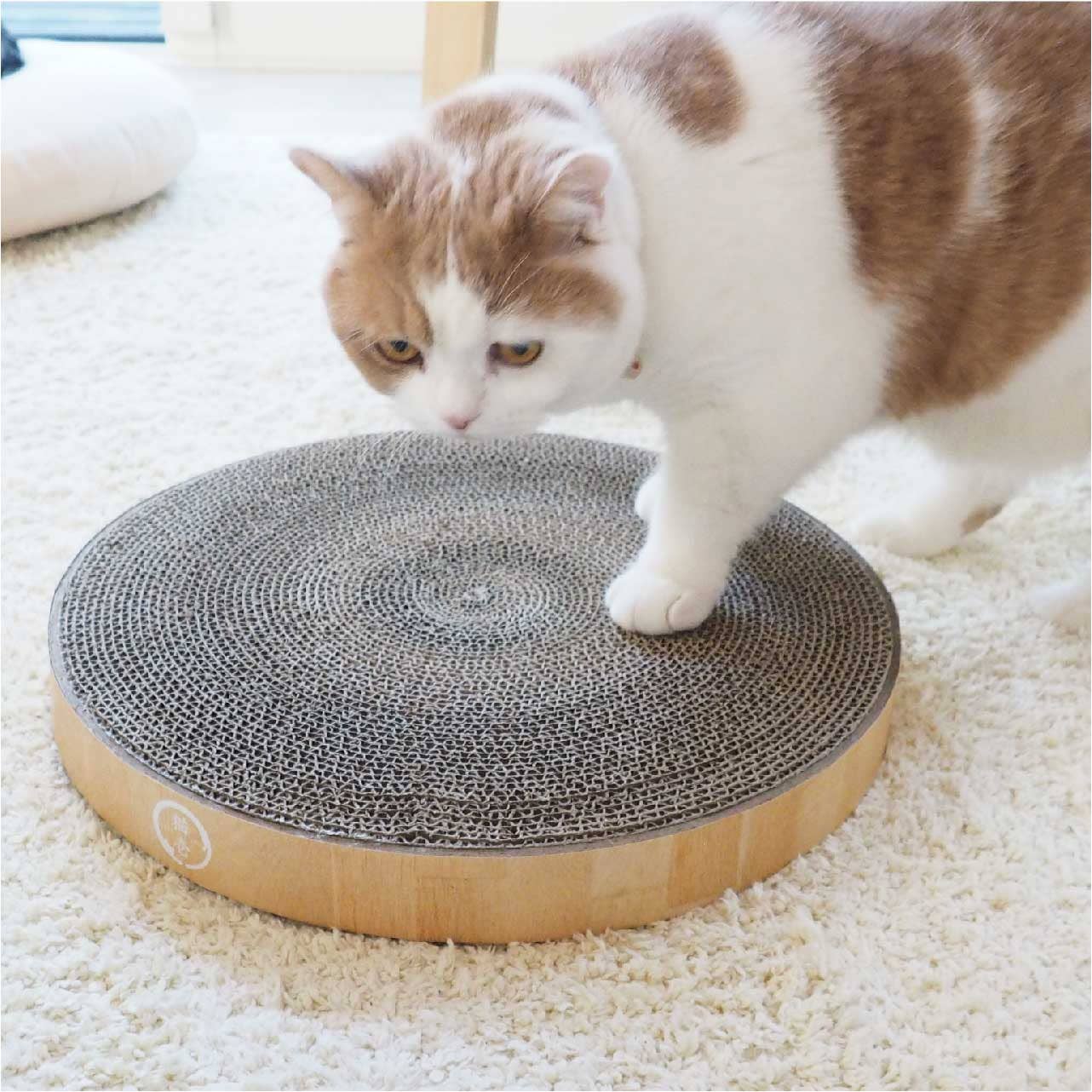 Cozy Cat Scratcher Bowl Replacement Pad (2 pack)