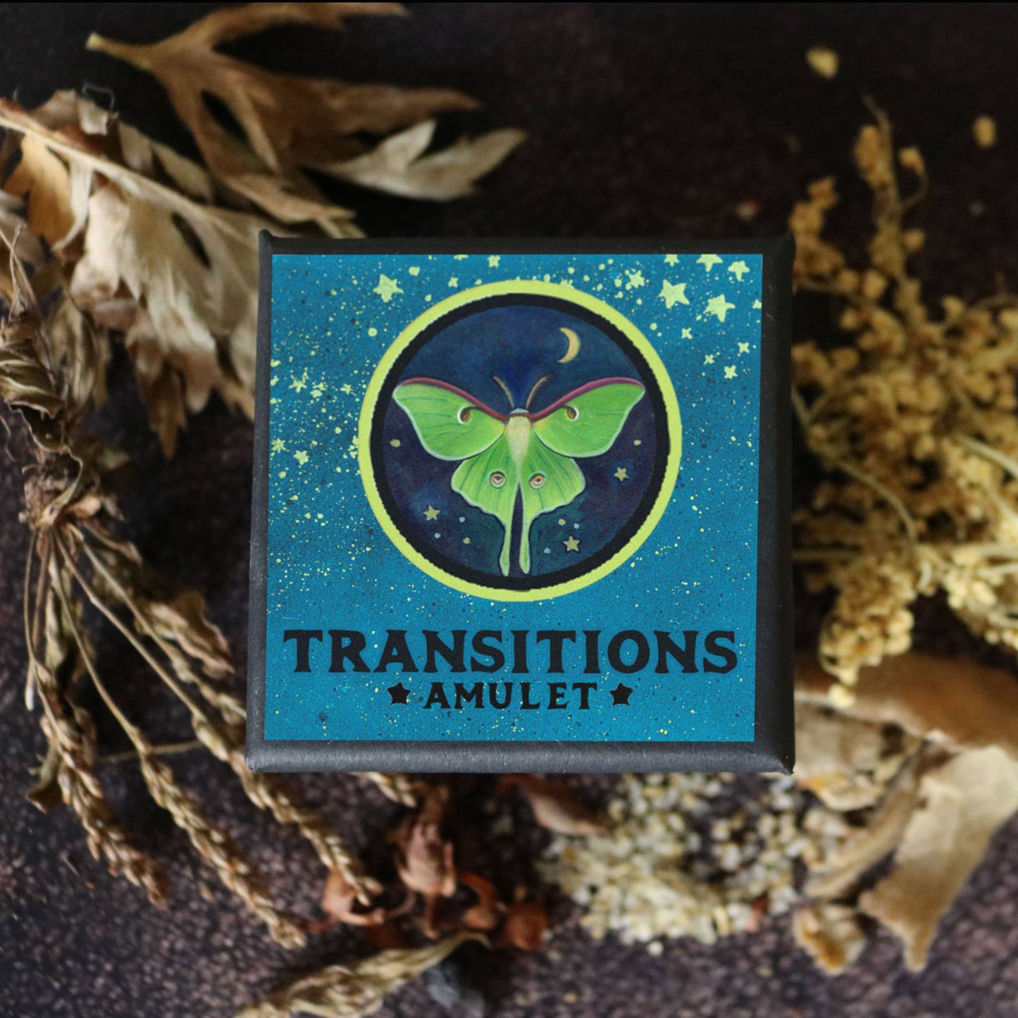 Transitions Amulet - Change and Renewal Talisman with Luna Moth
