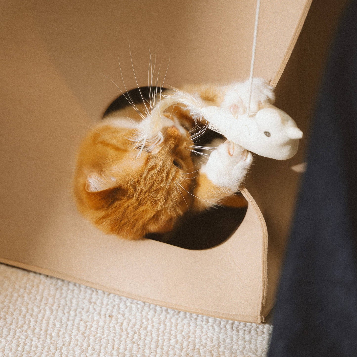 Cat Toy Birdie