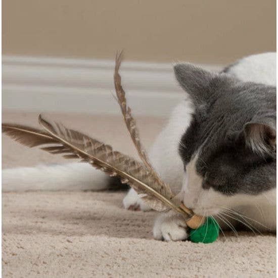 Go Cat Kitty Kopter Spinning Throw Cat Toy