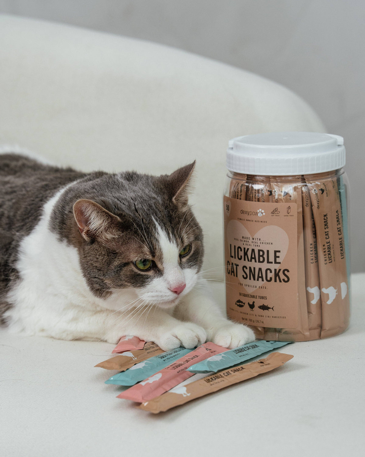 50pk Cat Lickable Treats - Canister